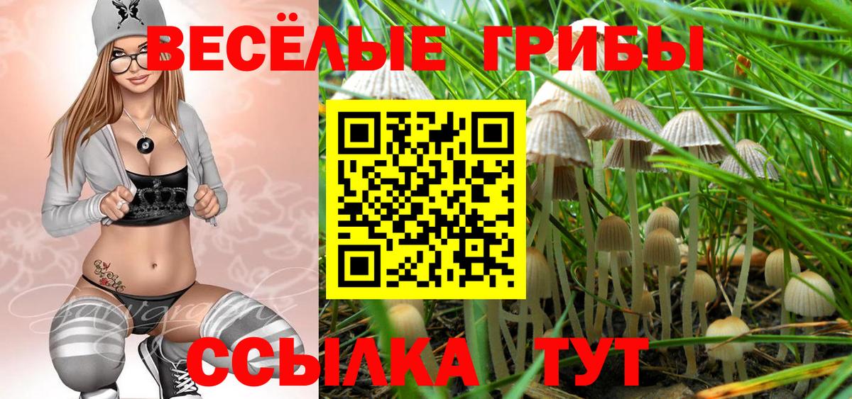 Галлюциногенные грибы мицелий  Псилоцибиновые грибы Psilocybe  Вход с VPN  хочу наркоту  Владикавказ 