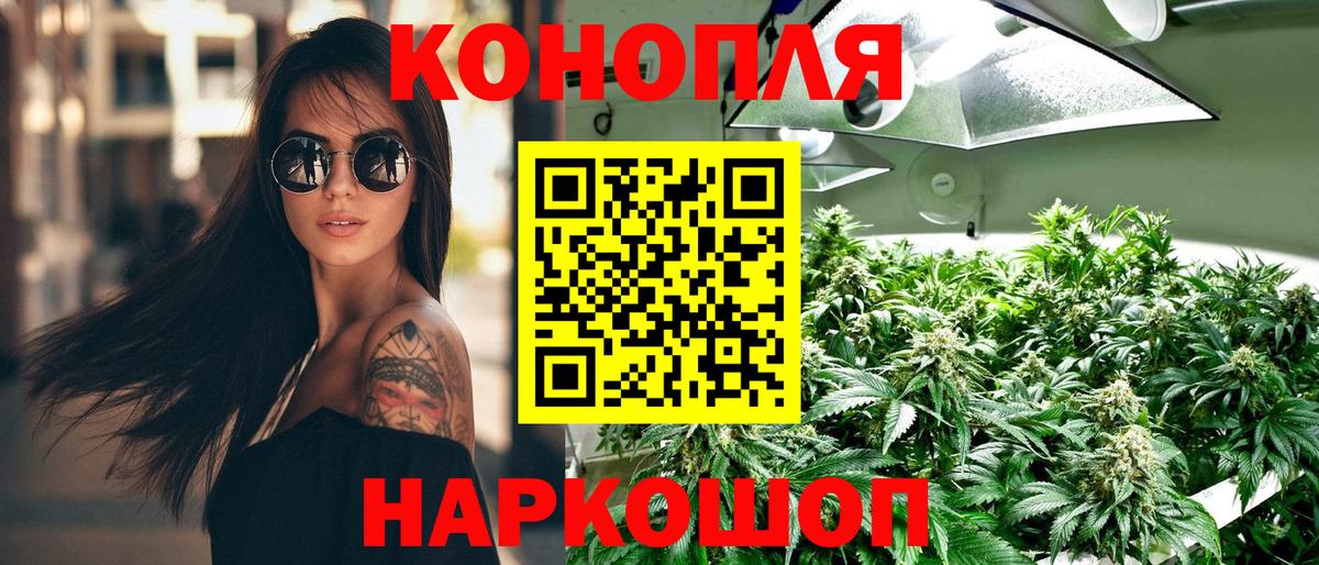 Бошки марихуана планчик Владикавказ